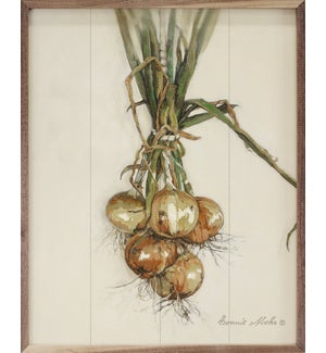 Onions By Bonnie Mohr